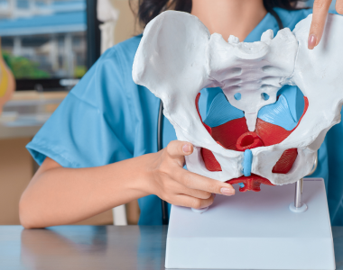 Praktisk kurs: Klinisk bedömning av bäckenbottens funktion efter förlossning