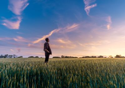Grundkurs i ekologisk odling. Dag 3. Växtföljdens betydelse och planering, spannmål och proteingrödor